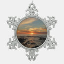 Recherche de california ornements Nature