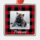 Zoek naar zwarte hond ornamenten Dogs