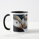 Zoek naar papegaaiduiker mokken Vogel