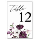 Recherche de plat de jour Calligraphie