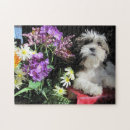 Zoek naar shih tzu puzzels Bloemen