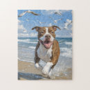Zoek naar pitbull puzzels Pitstier