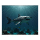 Recherche de grand requin blanc posters Vie marine