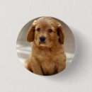Recherche de marionnettes badges Chiot