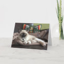 Recherche de siamois chat vœux cartes Animal de compagnie