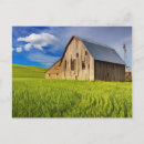 Recherche de champs de blé cartes postales Grange