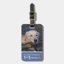 Recherche de voyage de chien bagages étiquettes Golden retriever