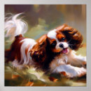 Zoek naar cavalier king charles spaniel puppy posters Canine