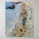 Zoek naar mossel posters Weekdieren