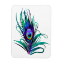 Recherche de plumes magnets Paon
