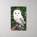 Recherche de gens impressions sur toile Faune