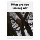 Recherche de écrous cartes postales Animaux