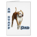 Recherche de amstaff en cartes postales Terrier américain