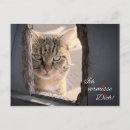 Recherche de ich cartes postales Pour tous