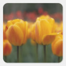 Recherche de horticulture autocollants Flore