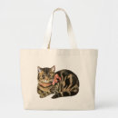 Recherche de chat de calicot Rose