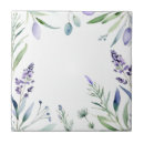 Recherche de eucalyptus carreaux Botanique