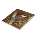 Recherche de dos carreaux Oiseau