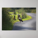 Recherche de la turquie posters Photographie