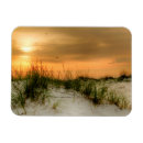 Recherche de mouettes magnets Photographie