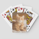 Recherche de minou jeux de cartes Chats