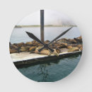 Recherche de phoque horloges Californie