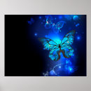 Zoek naar motten posters Blauw