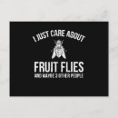 Recherche de mouches cartes postales Bogue