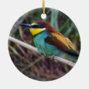 Zoek naar gekleurde ornamenten Geel
