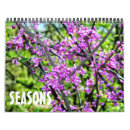 Recherche de saison photographie Nature