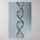 Recherche de dna posters Chemistry