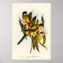 Zoek naar parkieten posters Vintage