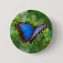 Recherche de morpho badges Motif
