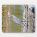 Recherche de héron bleu tapis souris Nature