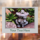 Recherche de succulent signes Nature