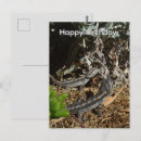 Recherche de à dragon de anniversaire cartes Pour tous
