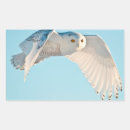 Recherche de hibou en vol autocollants Oiseau