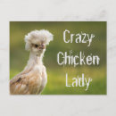 Recherche de humour poulet cartes postales Animal
