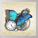 Recherche de papillon turquoise art Jolie