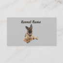 Recherche de bergers allemands cartes visite Berger allemand