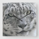Zoek naar snow leopard kunst Wilde kat