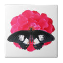 Recherche de peintures de rose rouge carreaux Noir