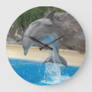 Recherche de dauphins sautants posters Mer