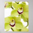Recherche de tête de fleur posters Nature