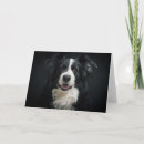 Recherche de de border collie vœux cartes Animal de compagnie