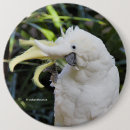 Recherche de soufre badges Jaune