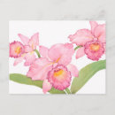 Zoek naar exotisch briefkaarten Bladeren