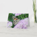 Recherche de amant de papillon vœux cartes Toute personne