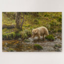 Recherche de riordan Ours noir
