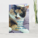 Zoek naar goedkeuring Katten